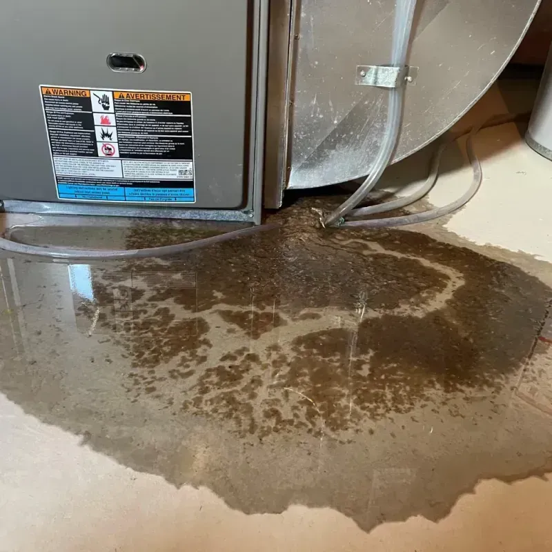 Appliance Leak Cleanup in Willow Park, TX